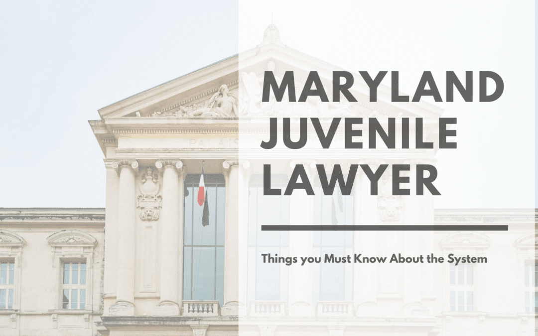 Maryland Juvenile Lawyer: Navigating the Juvenile Justice System