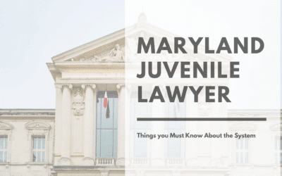 Maryland Juvenile Lawyer: Navigating the Juvenile Justice System